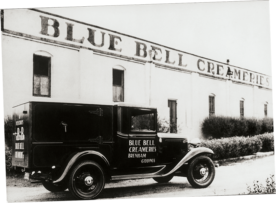 Bluebell company name