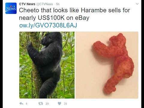 Harambe the Gorilla Cheeto